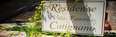 Exclusive villa rental