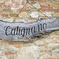 Accommodation in Tuscany :: Fattoria di Catignano